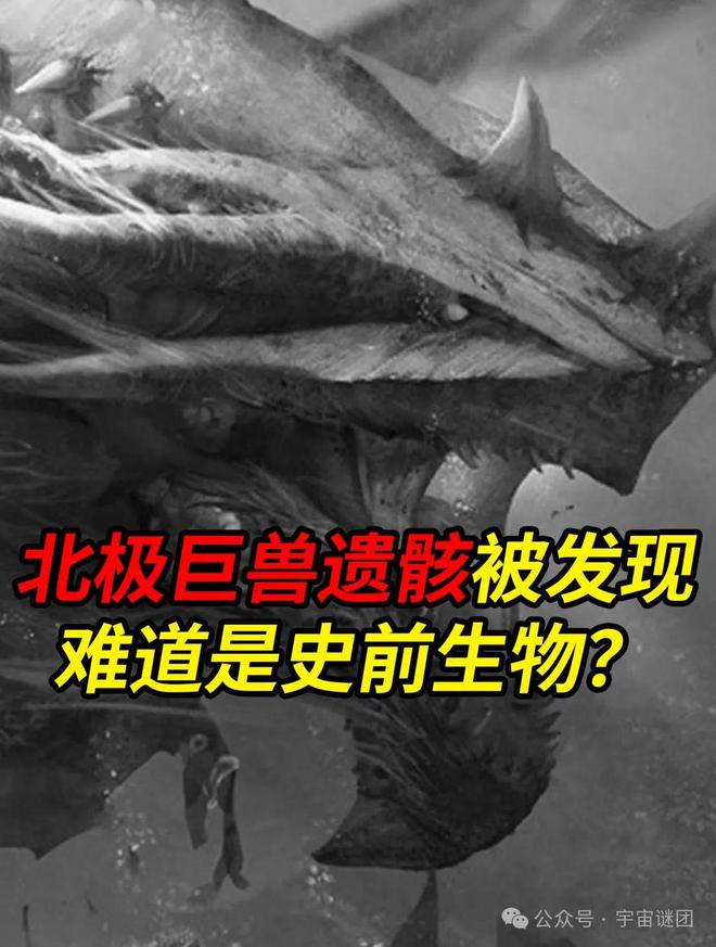 人类文明的对话——揭开地球最后边疆的神秘面纱九游会J9入口北极未知探索：冰封之地的秘密与(图8)