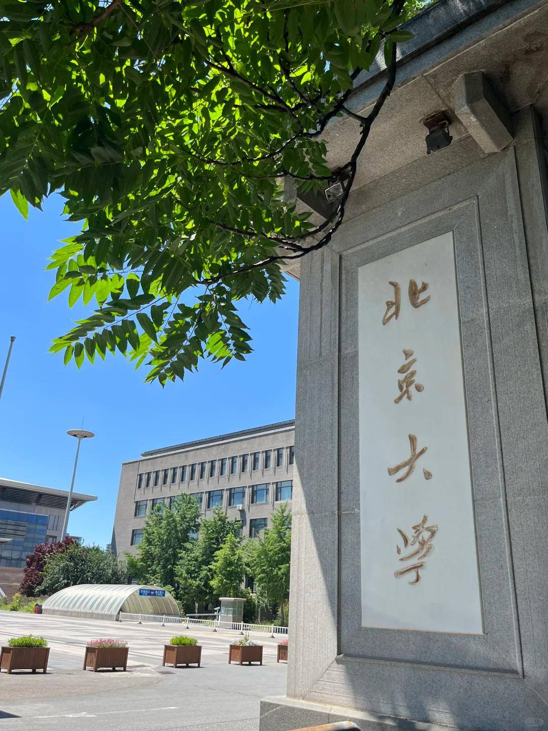 评多的旅行社 TOP3高校线含北大清华讲解！j9九游真人游戏第一品牌学生党福音！北京好(图3)