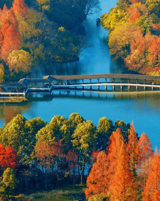 26：甄选正规纯玩无购物机构十佳高评分靠谱推荐j9九游真人游戏第一平台杭州旅行社口碑榜 20(图2)